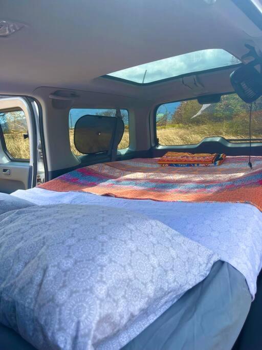 Campervan/Maui Hosted By Go Camp Maui Kihei Eksteriør billede